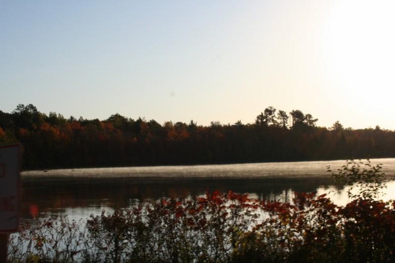 IMG 9081 (800x533)