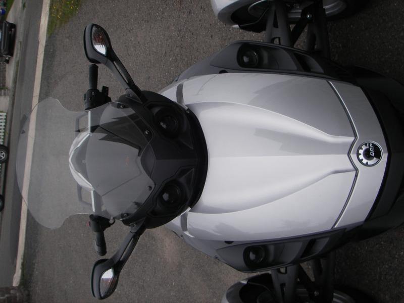 IMGP2593