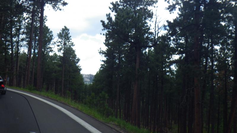 IMGP4931
