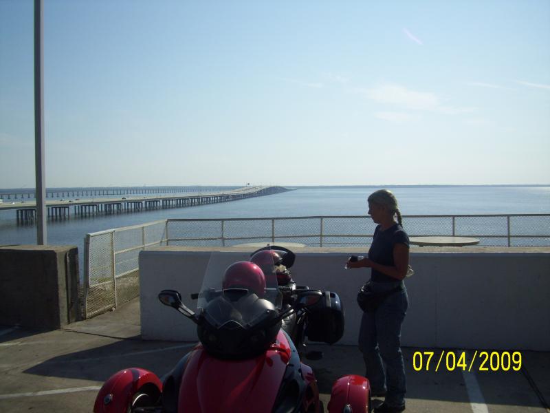 Jay at the Bay