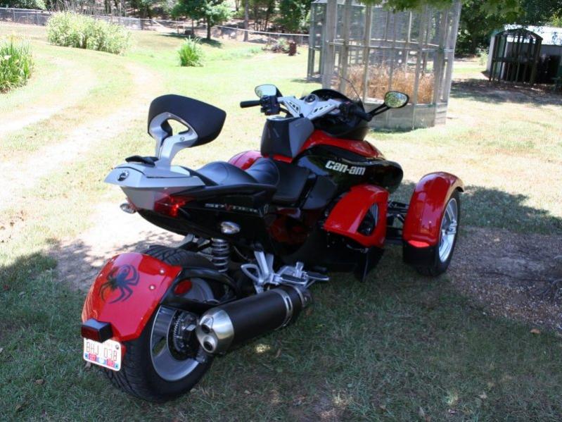 LeesSpyder03