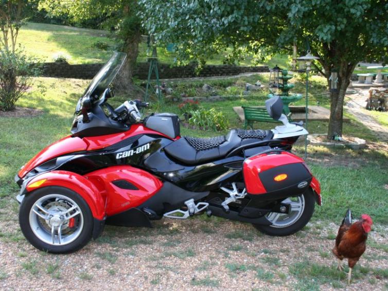 LeesSpyder17