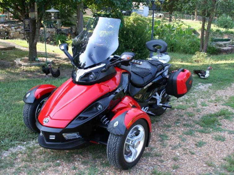 LeesSpyder21