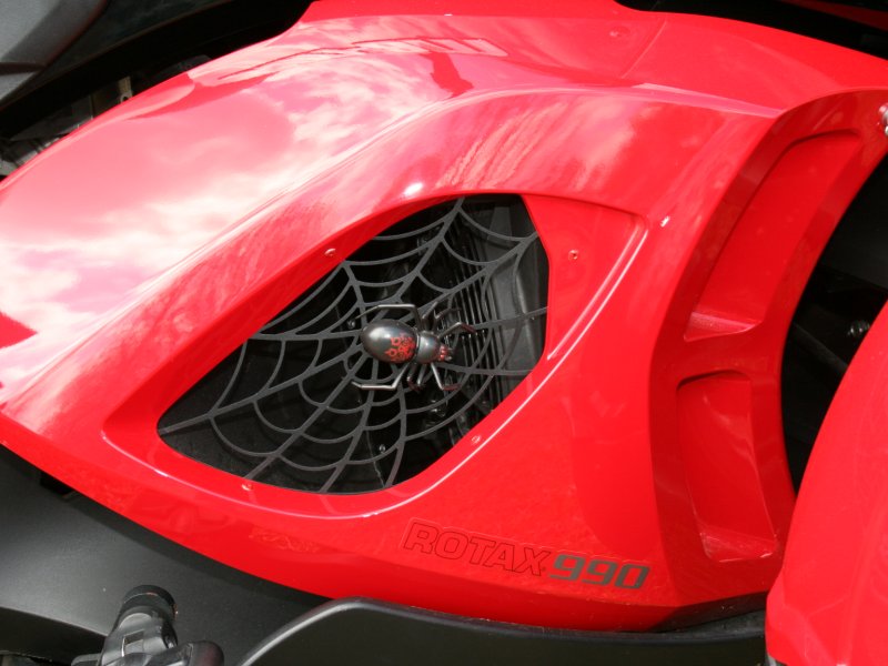 LeesSpyder28