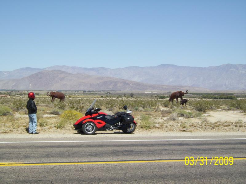 Metal Art, Borrego Springs, CA