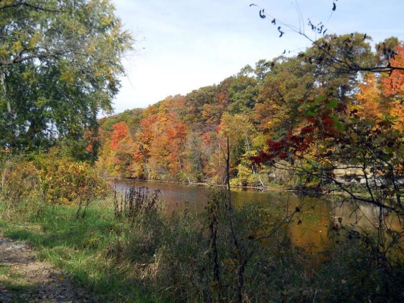 Michigan Color Tour 2011
Fitzgerald Park
Grand Ledge, MI