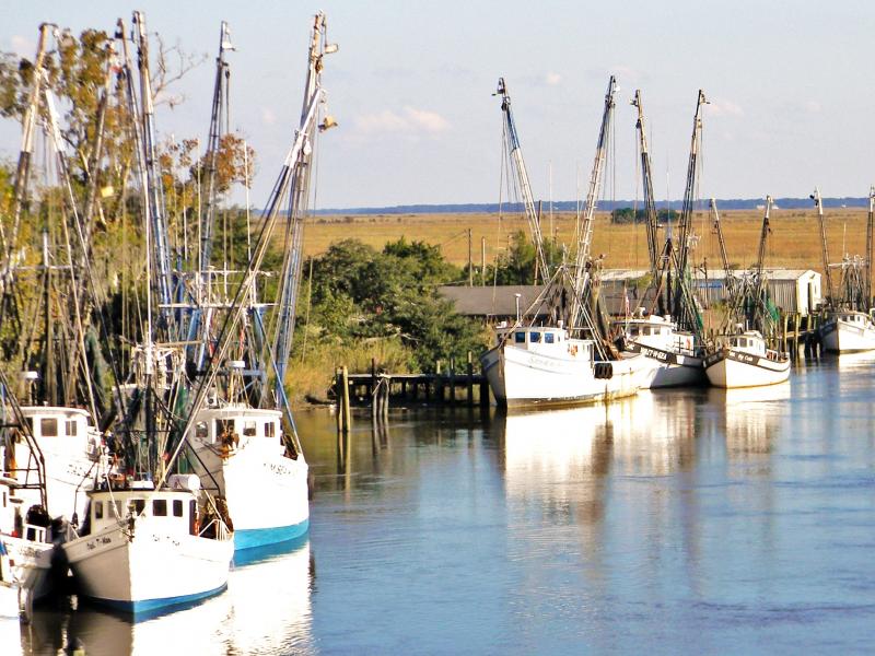 More shrimp boats