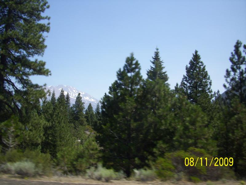 Mt Shasta just kept peeking through the trees as we curved on down the interstate.