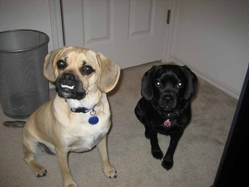 My cute Kids :)