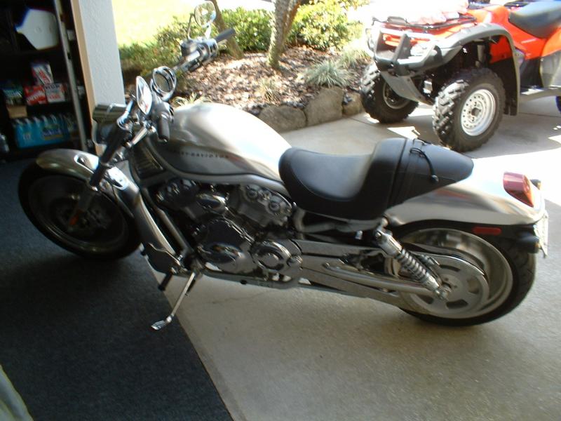 MY WIFES TOY