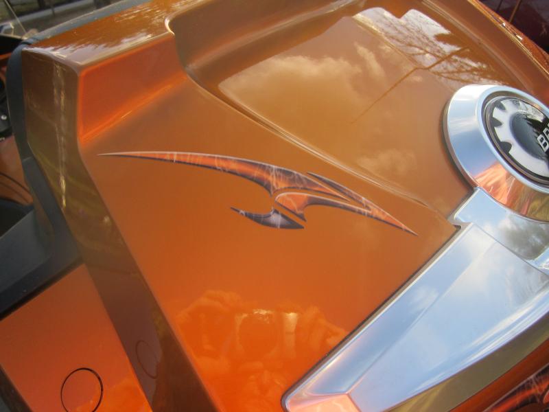 newest farkles on RTS SE6 COGNAC 002