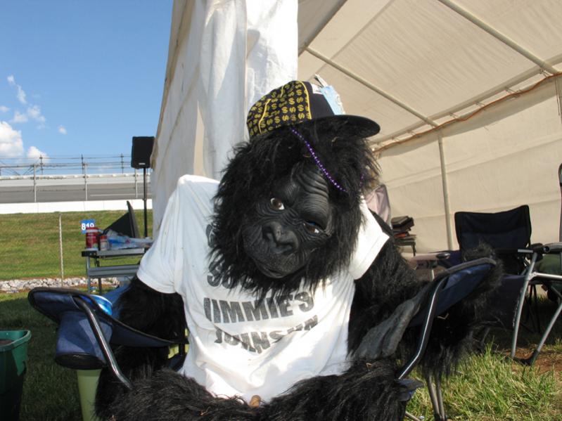Our Campsite Mascot