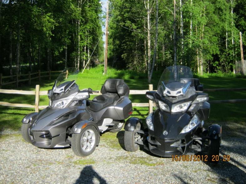 Our Spyders at home