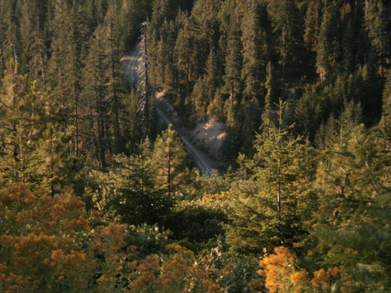 P8050073