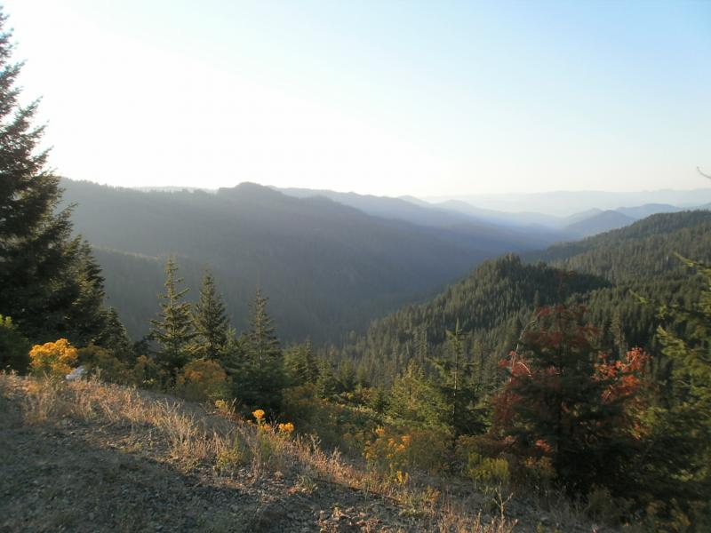 P8050080