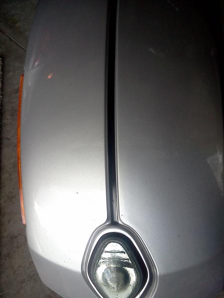 Pin Stripe Fender