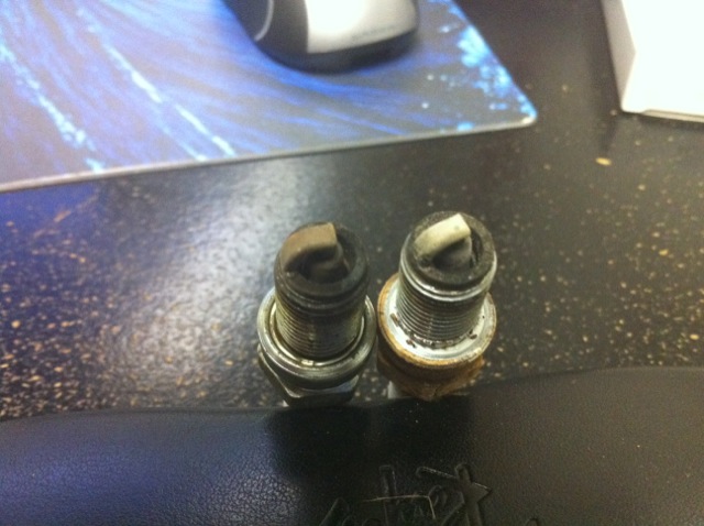 plugs