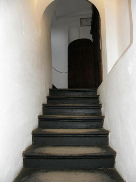 RS P6050071