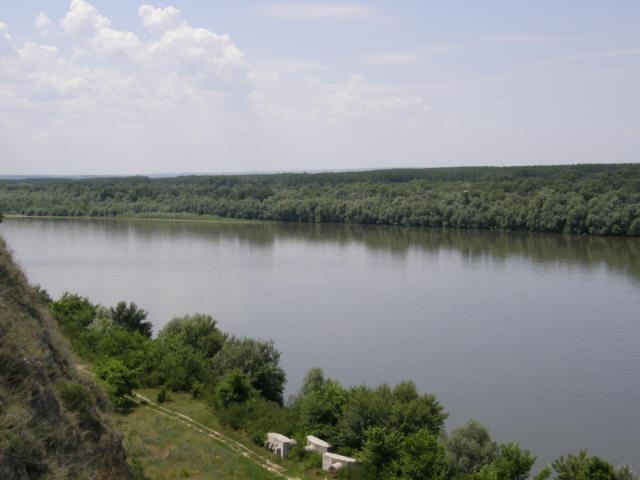 RS P6060094