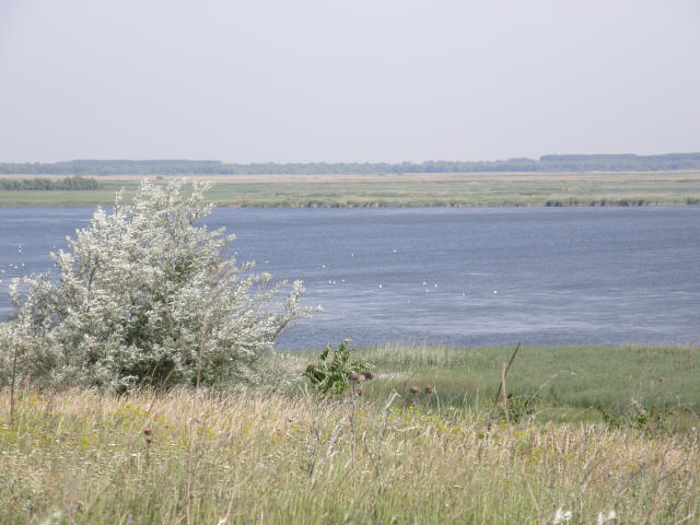 RS P6070116