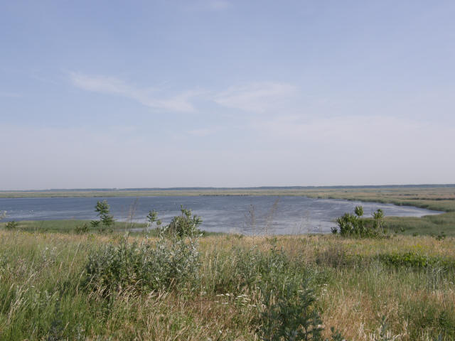 RS P6070117