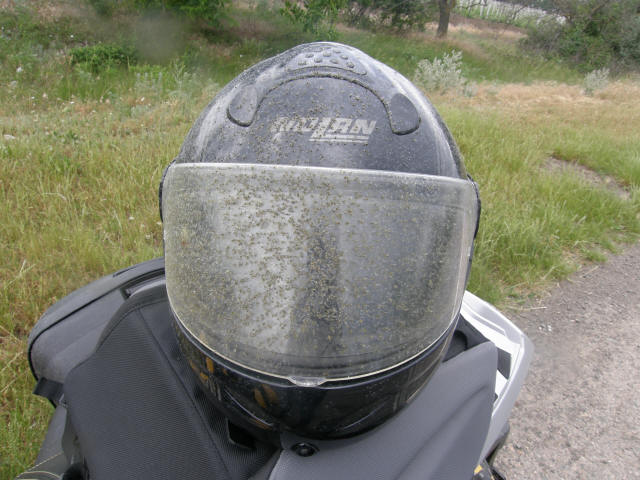 RS P6080166