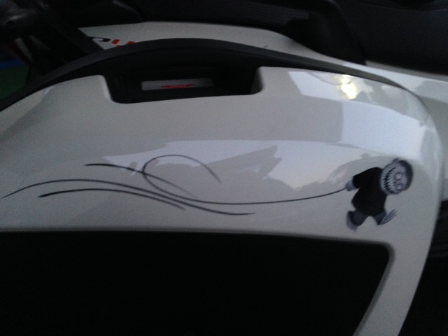 Saddlebag right