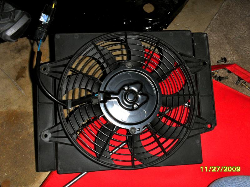 SAM 0091sm