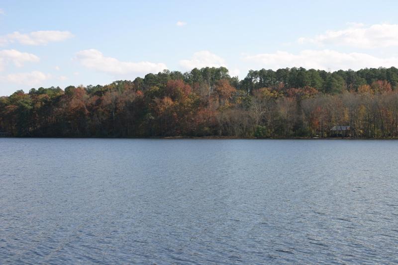 Savannah River