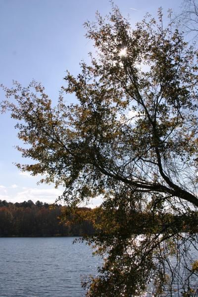 Savannah River