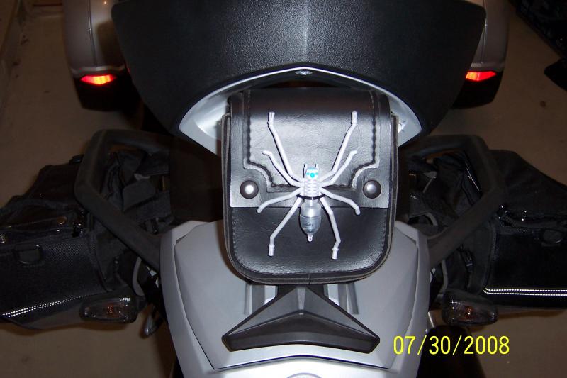 Small sissy bar bag with spider wheel spoke accessory.