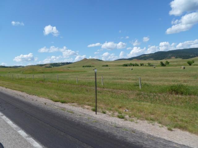smP1020880