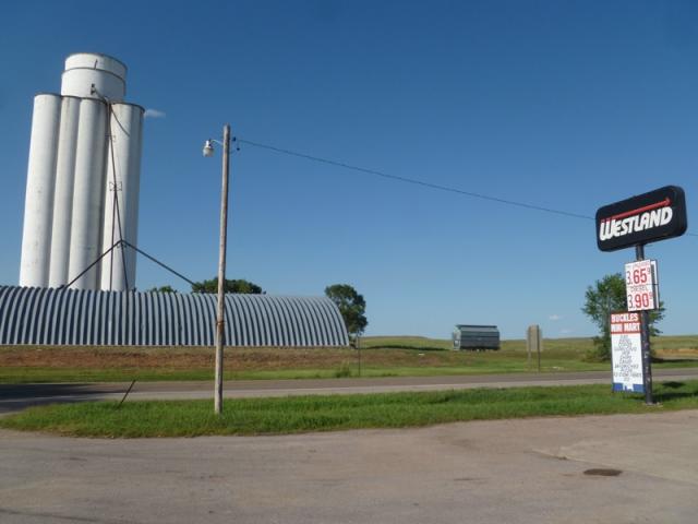 smP1030072
