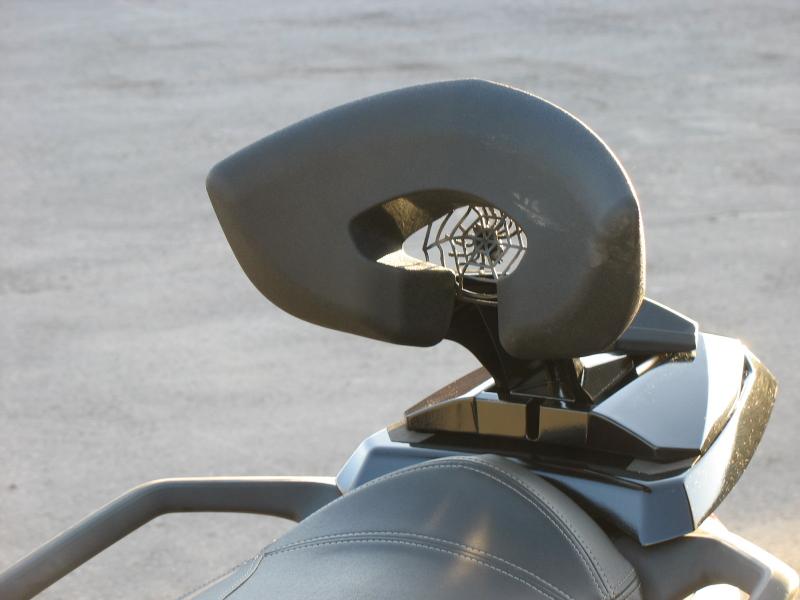 spider in backrest