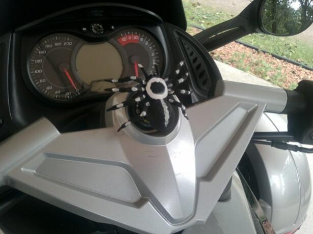 spyder3