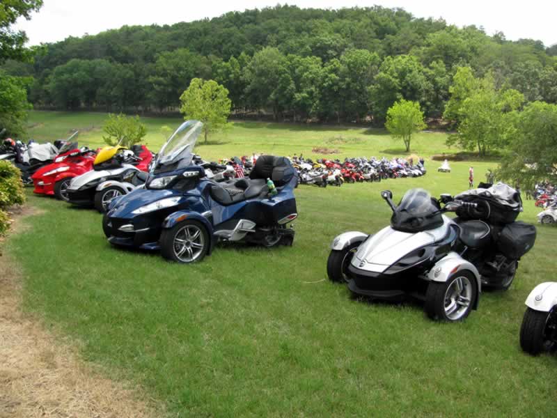 Spyders on the lawn