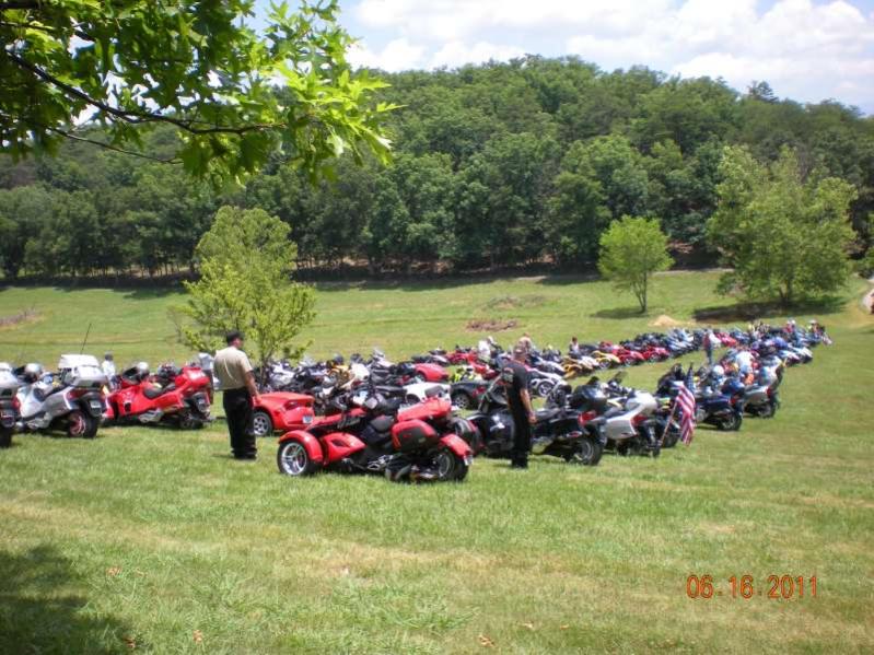 Spyders on the Lawn