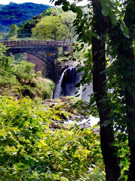 The Falls