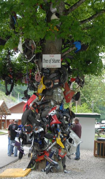 TreeofShame