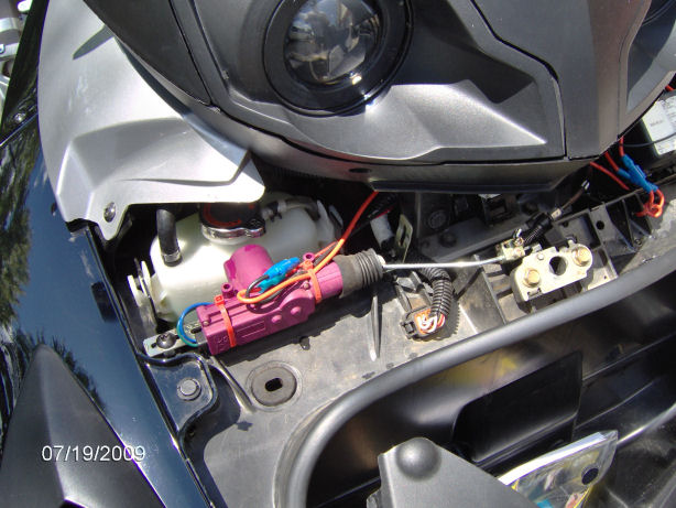 Trunk Mechanism