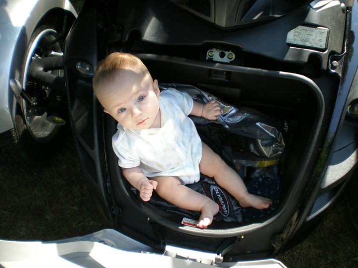 trunk n