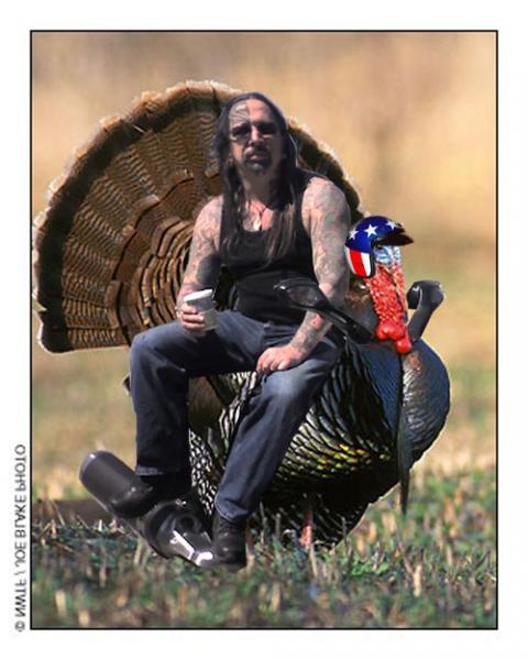 turkeyspyder