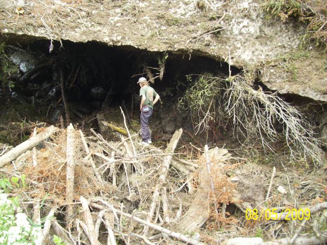 Under the ice; that brownish stuff is snow/ice covered with debris.