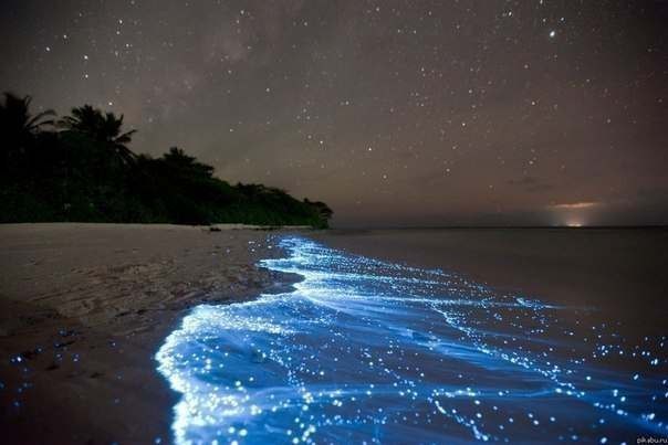 Vaadhu Island