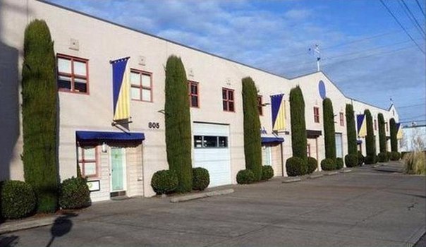 Viagra Office
