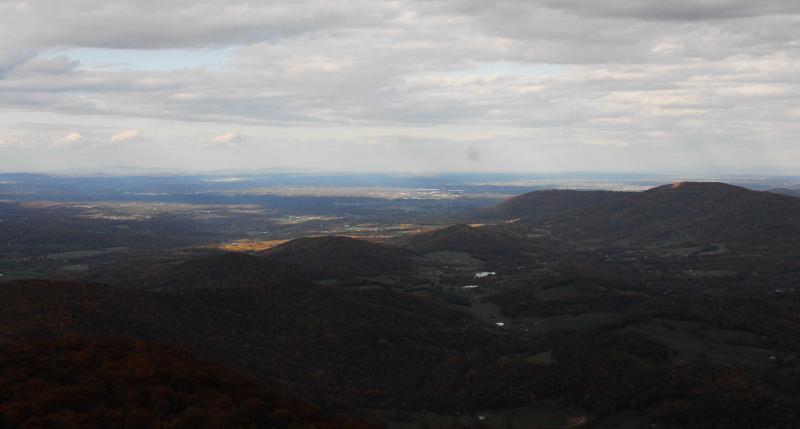 View1