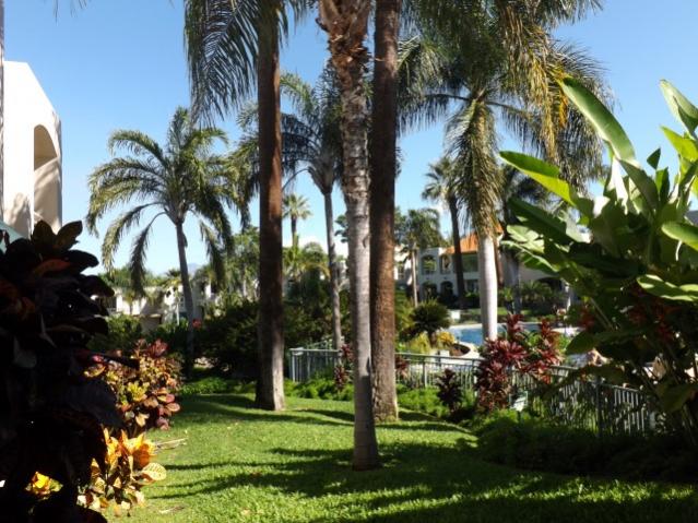 Wailea Palms--Maui