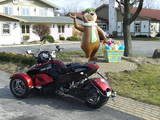 Yogi Bear with a Spyder