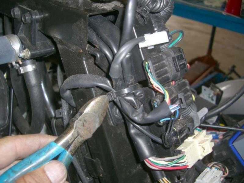 ziptie