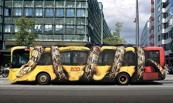 ZooBus